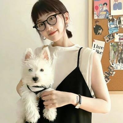 顽童怪盗