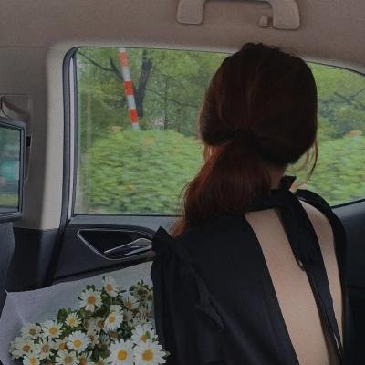 花园岛
